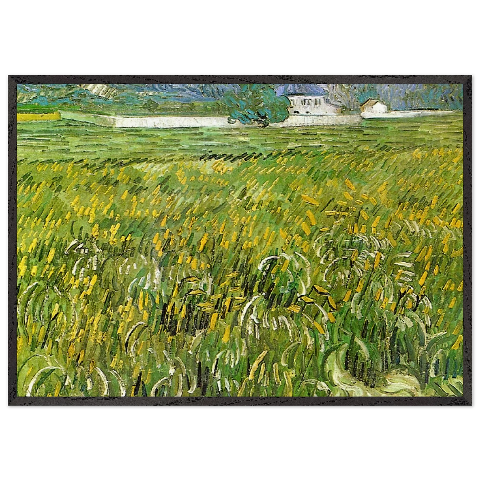 Wheat Field at Auvers with White House - Vincent van Gogh Framed Art Print – Black Wooden Frame - Default Title - -Framed Art Print