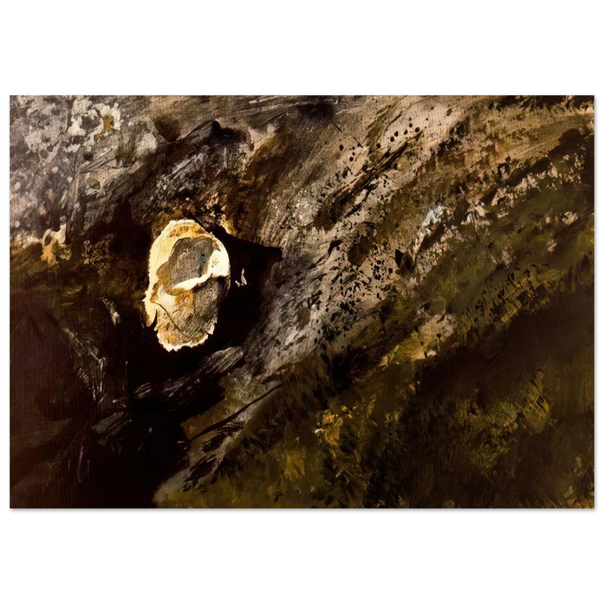 Andrew Wyeth - INLAND SHELL Wall Art - 60x80 cm / 24x32 inches - Premium Wooden Framed Poster With Fine Art Paper - White frame
