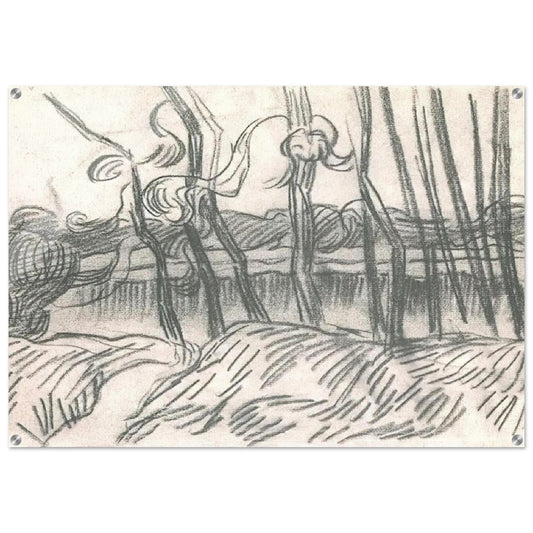 A Row of Bare Trees - Vincent van Gogh Acrylic Print - 70x100 cm / 28x40″ inches