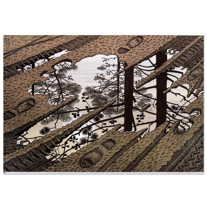 PUDDLE - MC Escher Brushed Aluminum Print - 70x100 cm / 28x40 inches | MC Escher Aluminum Print | MC Escher Prints