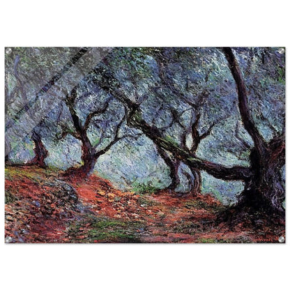 Grove of Olive Trees in Bordighera - claude monet Acrylic Print - 70x100 cm / 28x40″ inches