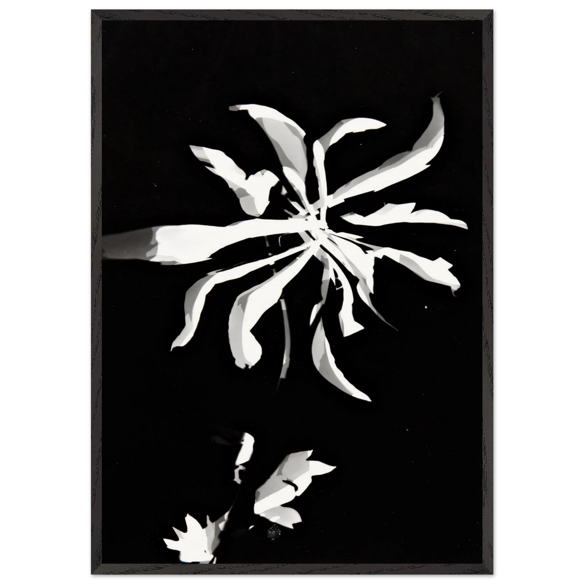 Changing patterns - Laszlo Moholy-Nagy Framed Art Print – Black Wooden Frame - Default Title - -Framed Art Print