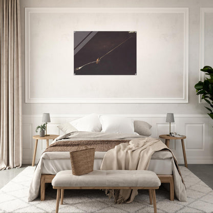 622ac654-bde6-4aad-a8c6-44735e3b218f