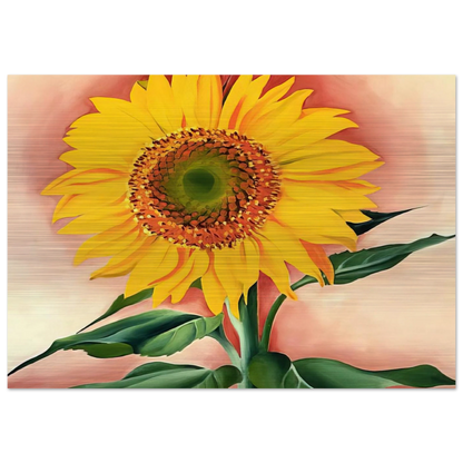 62c8ef3a-2d8b-476b-9987-8d2e302e8f01