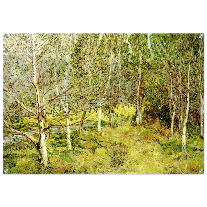 Spring Woods - Childe Hassam Acrylic Print - 70x100 cm / 28x40″ inches