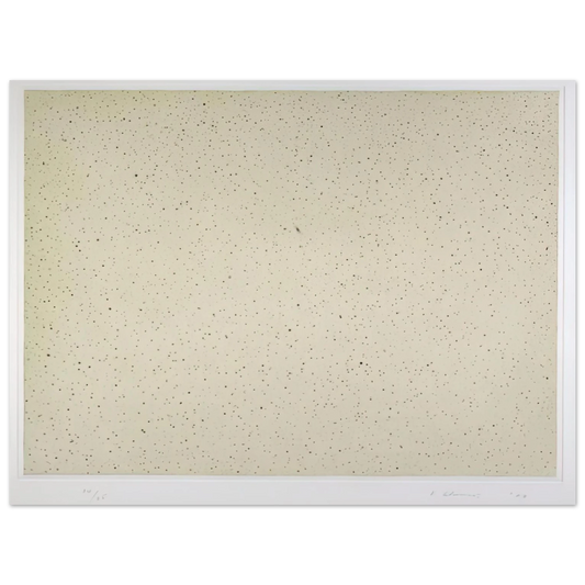 Vija Celmins - NIGHT SKY 2 REVERSED 2002 Fine Art Poster - Default Title