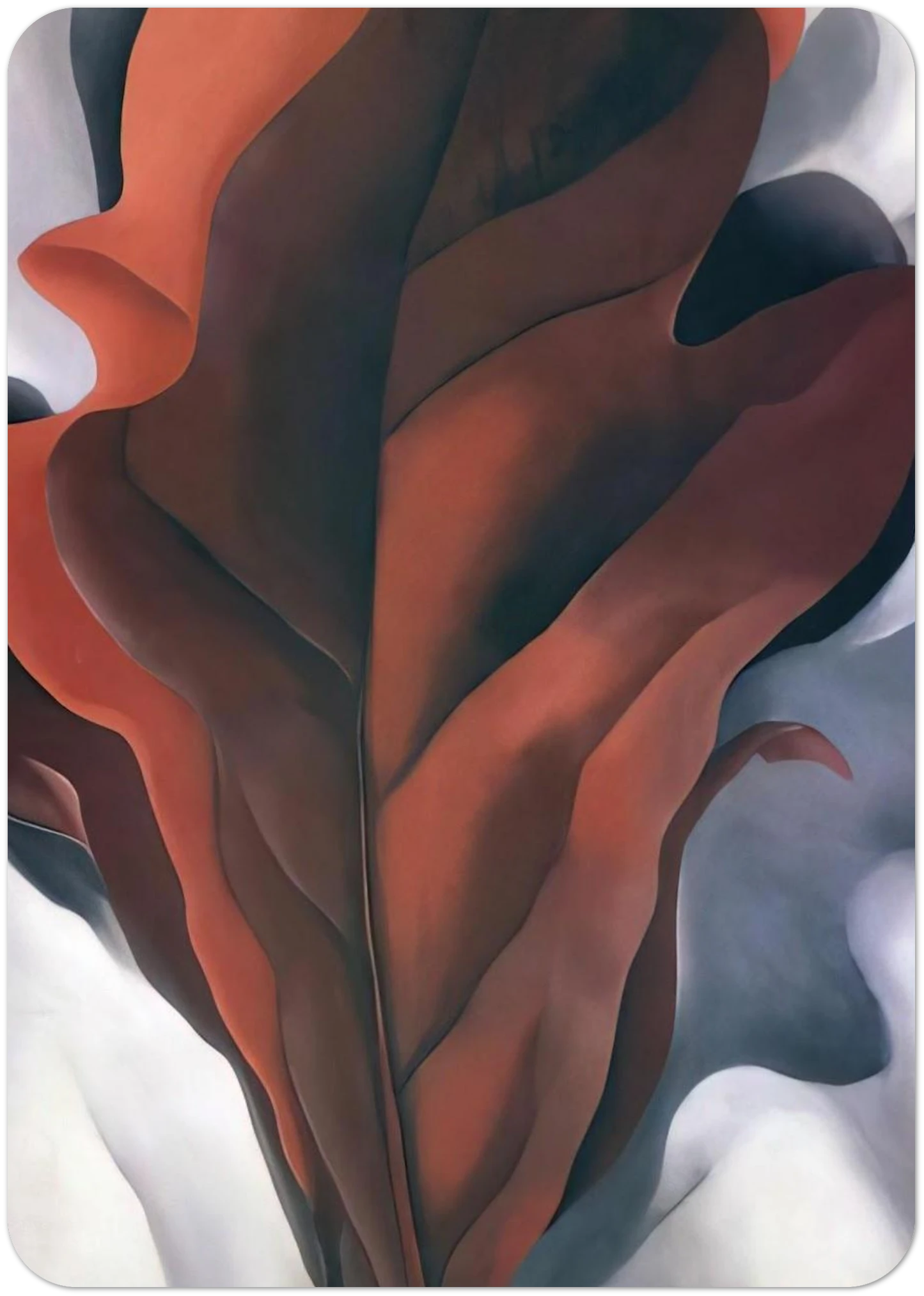 Large Dark Red Leaves on White By Georgia O'Keeffe Pack of 10 Post Cards | Georgia O'Keeffe Post Cards | A6 (10.5 x 14.8 cm) - 4.1 x 5.8 inches