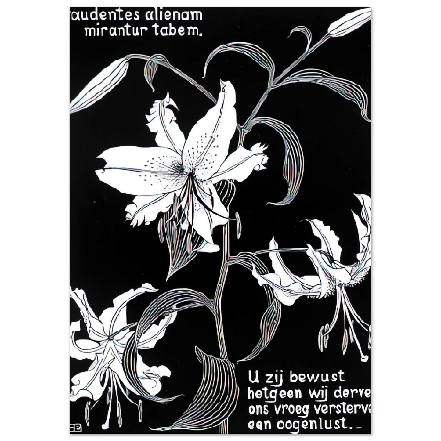 MC Escher - FLOWERS Wall Art - 30x40 cm / 12x16 inches - Premium Wooden Framed Poster With Fine Art Paper - White frame