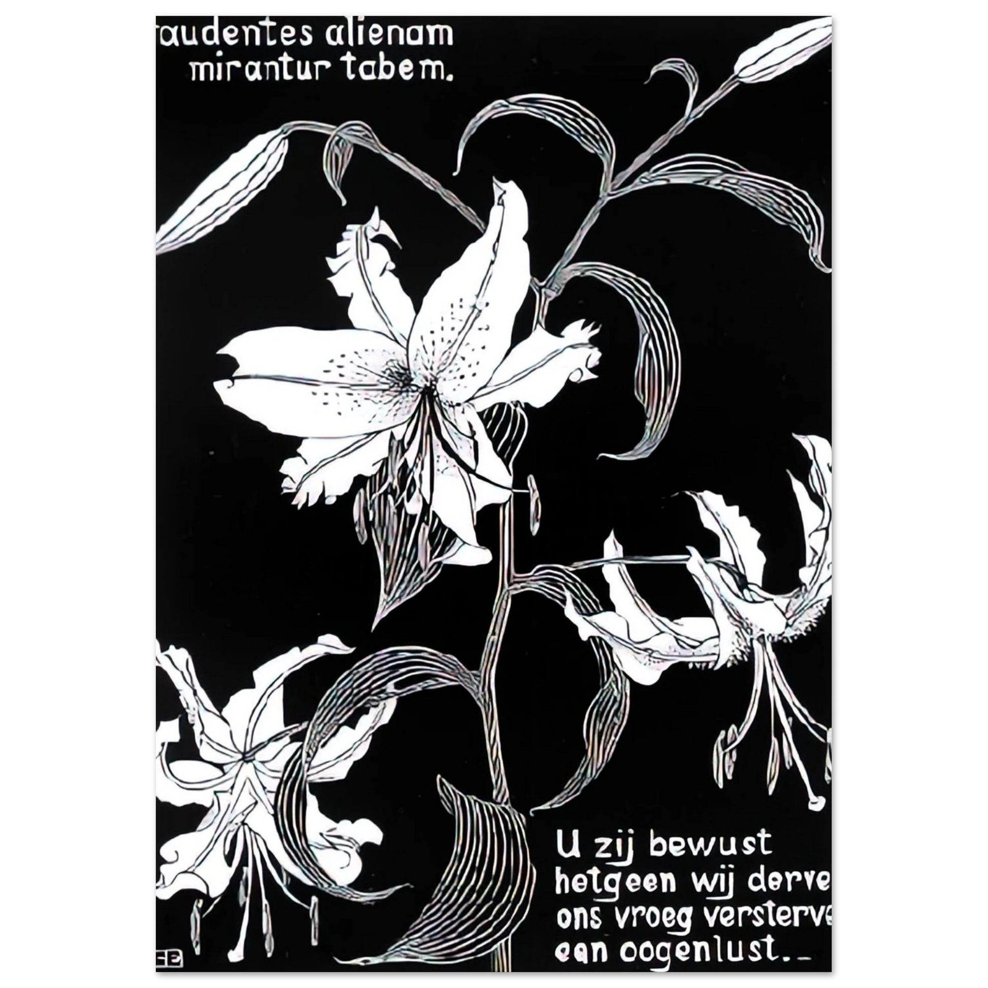 MC Escher - FLOWERS Wall Art - 30x40 cm / 12x16 inches - Premium Wooden Framed Poster With Fine Art Paper - White frame
