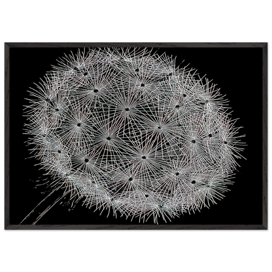 BLOWBALL II - MC Escher Framed Art Print – Black Wooden Frame - Default Title - -Framed Art Print
