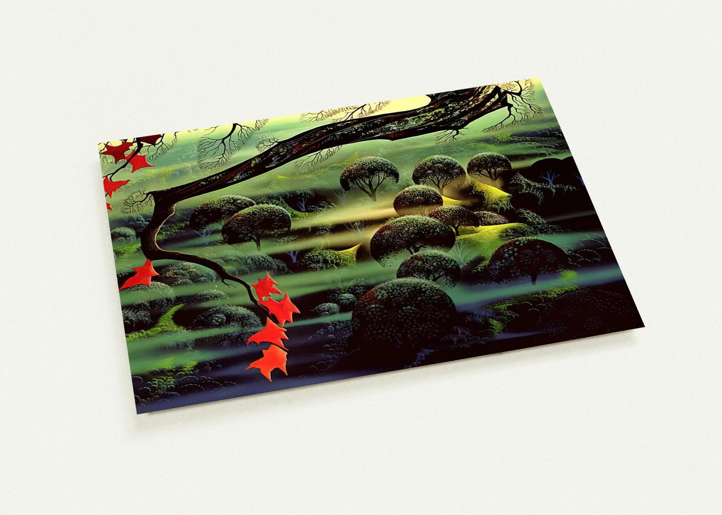 6527055f-3195-4909-b5ee-80ac6fef52f6