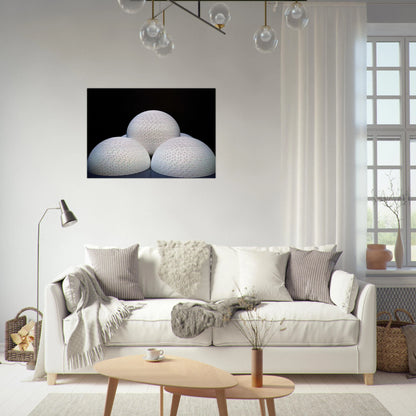 6536e1d6-f6d4-4e87-bc7f-9d4352c47c4c