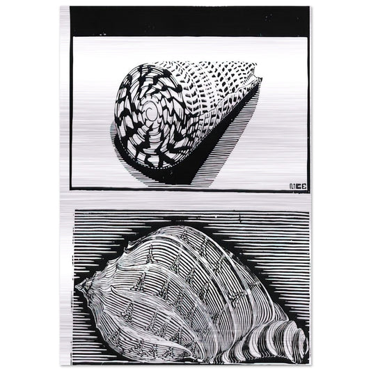 SEA SHELLS - MC Escher Brushed Aluminum Print - 70x100 cm / 28x40 inches | MC Escher Aluminum Print | MC Escher Prints