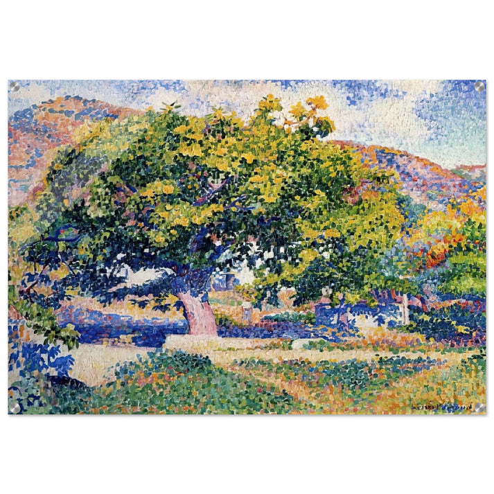 Around My House - Henri-Edmond Cross Acrylic Print - 70x100 cm / 28x40″ inches