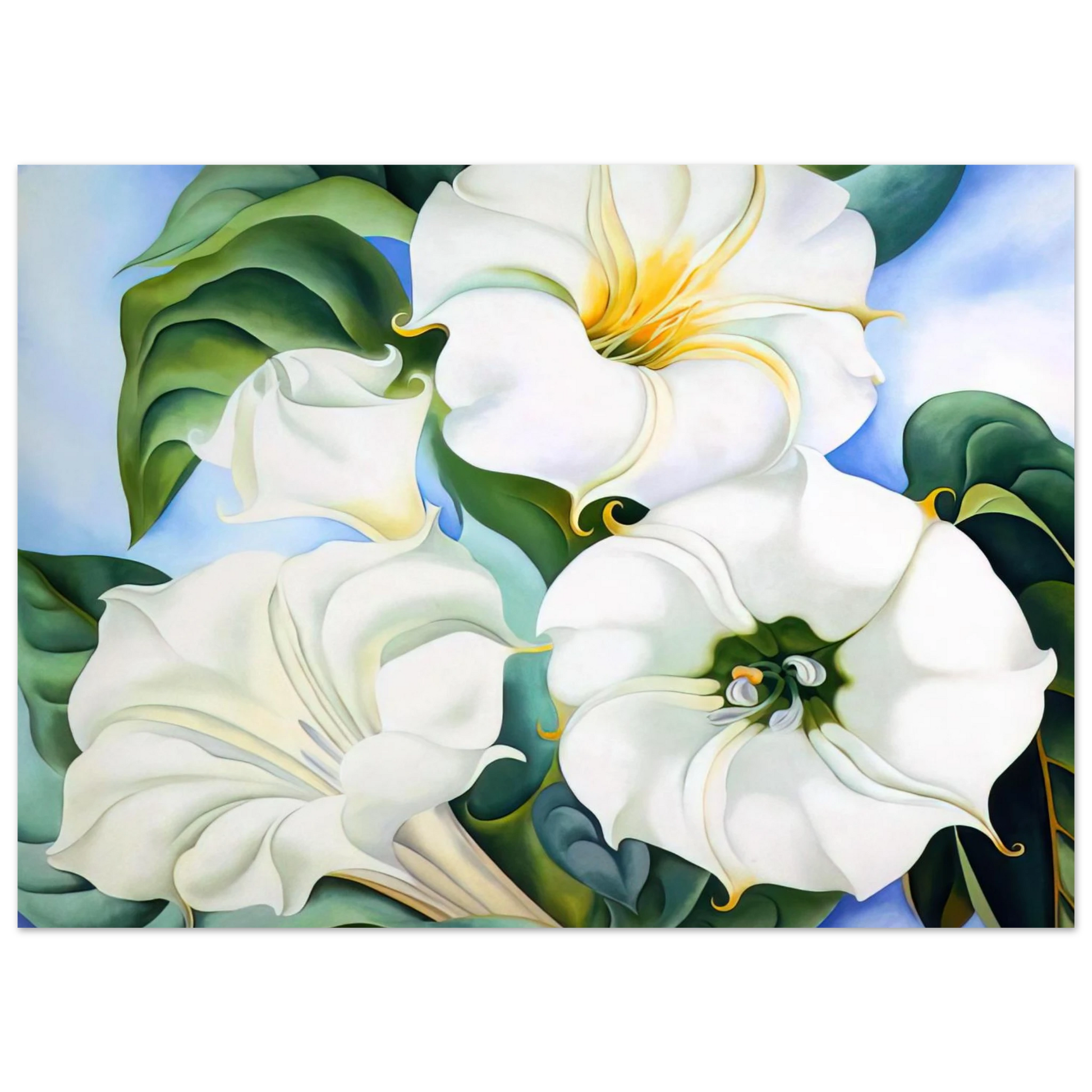 Georgia O'Keeffe - Jimson Weed 3 Fine Art Poster - 40x60 cm / 16x24 inches