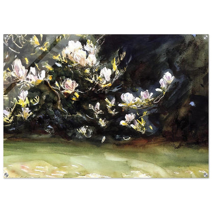 Magnolias - John Singer Sargent Acrylic Print - 70x100 cm / 28x40″ inches