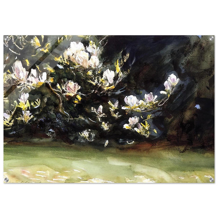 Magnolias - John Singer Sargent Acrylic Print - 70x100 cm / 28x40″ inches