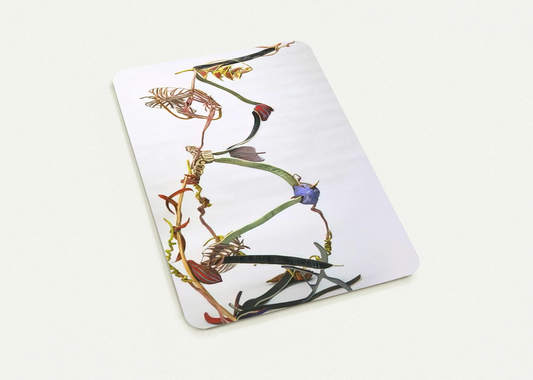 66a2ea76-eb1a-44c8-9aab-2f0302a861c3