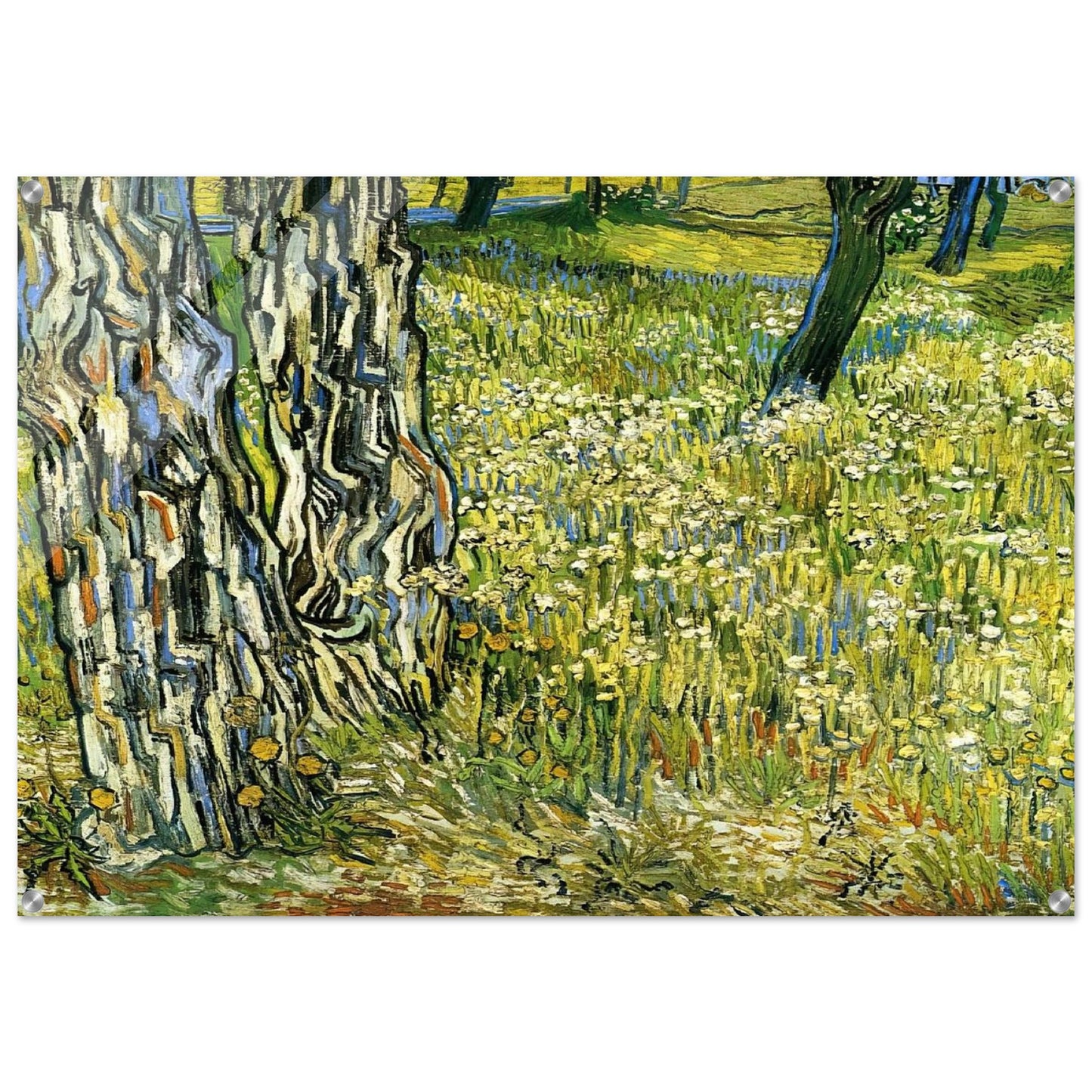 Tree Trunks in the Grass - Vincent van Gogh Acrylic Print - 70x100 cm / 28x40″ inches