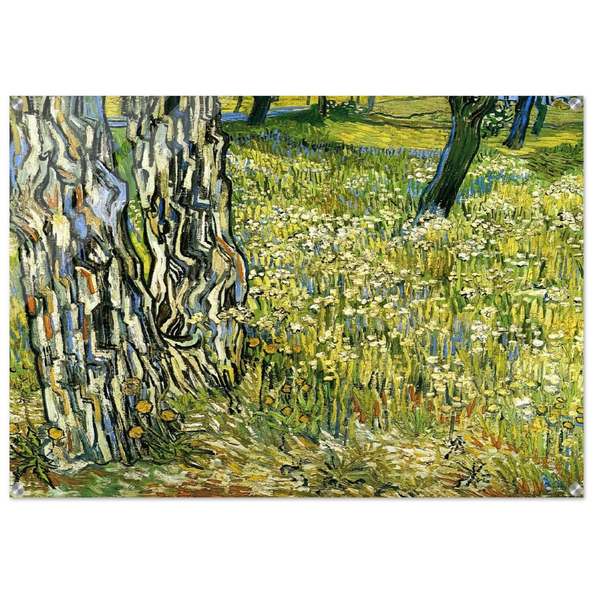 Tree Trunks in the Grass - Vincent van Gogh Acrylic Print - 70x100 cm / 28x40″ inches