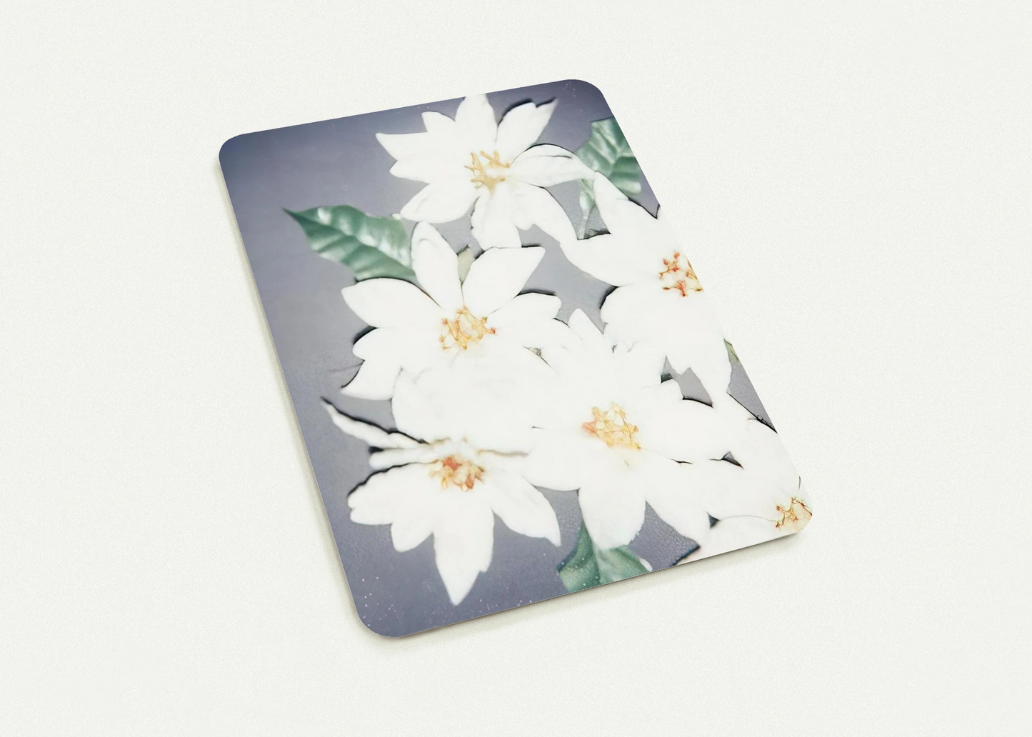 66ff7f64-d270-4a33-83f1-b27ba4d0ffb5