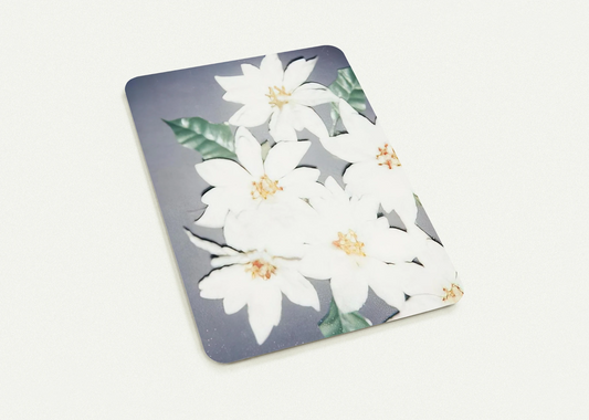 66ff7f64-d270-4a33-83f1-b27ba4d0ffb5