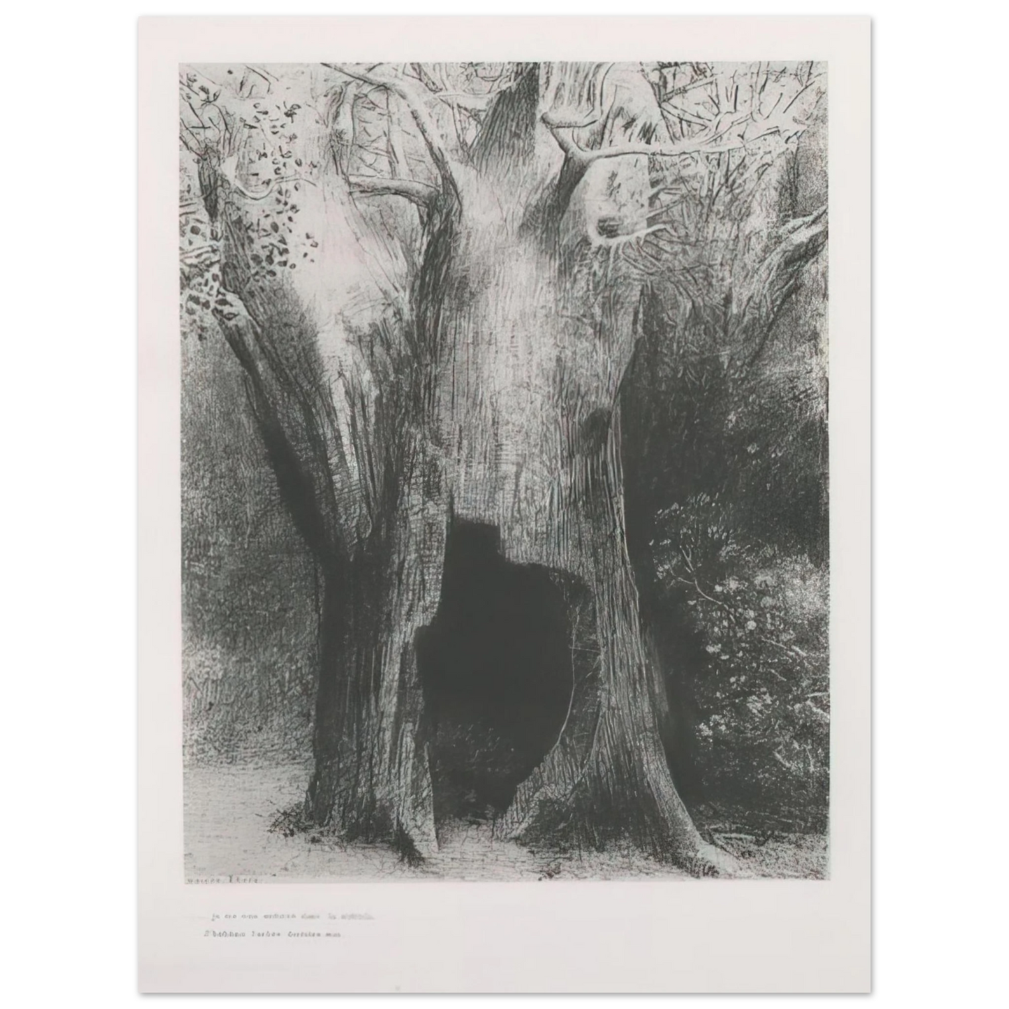 Odilon Redon - I PLUNGED INTO SOLITUDE I DWELT IN THE TREE BEHIND ME PLATE 9 1896 Fine Art Poster - Default Title