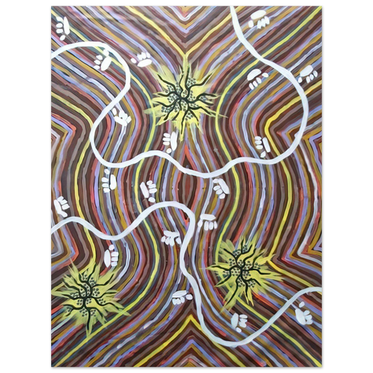 Clifford Possum Tjapaltjarri - Possum Country - 1995 Fine Art Poster - Default Title
