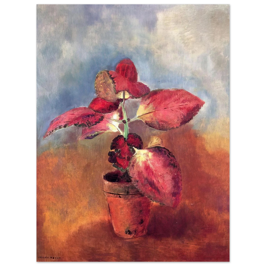 Odilon Redon - BEGONIA IN A POT Fine Art Poster - Default Title