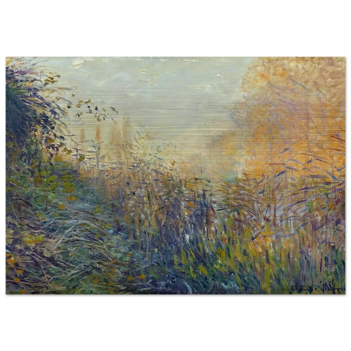 Study Rushes at Argenteuil - claude monet Brushed Aluminum Print - 70x100 cm / 28x40 inches | claude monet Aluminum Print | claude monet Prints