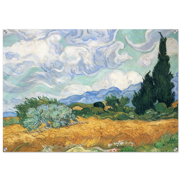 Wheatfield with cypress tree - Vincent van Gogh Acrylic Print - 70x100 cm / 28x40″ inches