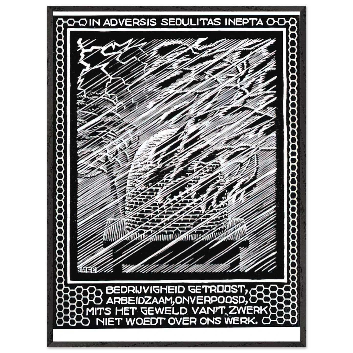 MC Escher - EMBLEMATA BEEHIVE Wall Art - 60x80 cm / 24x32 inches - Premium Wooden Framed Poster With Fine Art Paper - Black frame