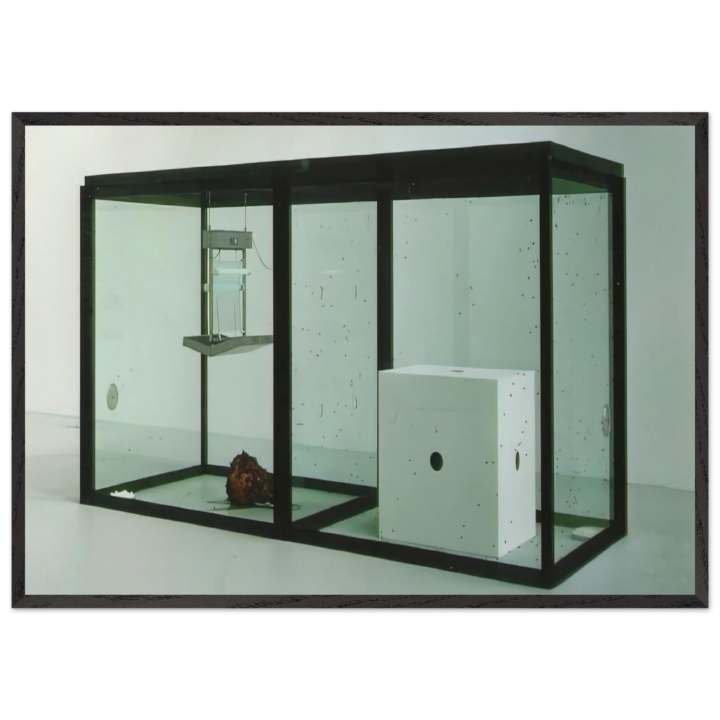 A THOUSAND YEARS - Damien Hirst Framed Art Print – Black Wooden Frame - Default Title - -Framed Art Print