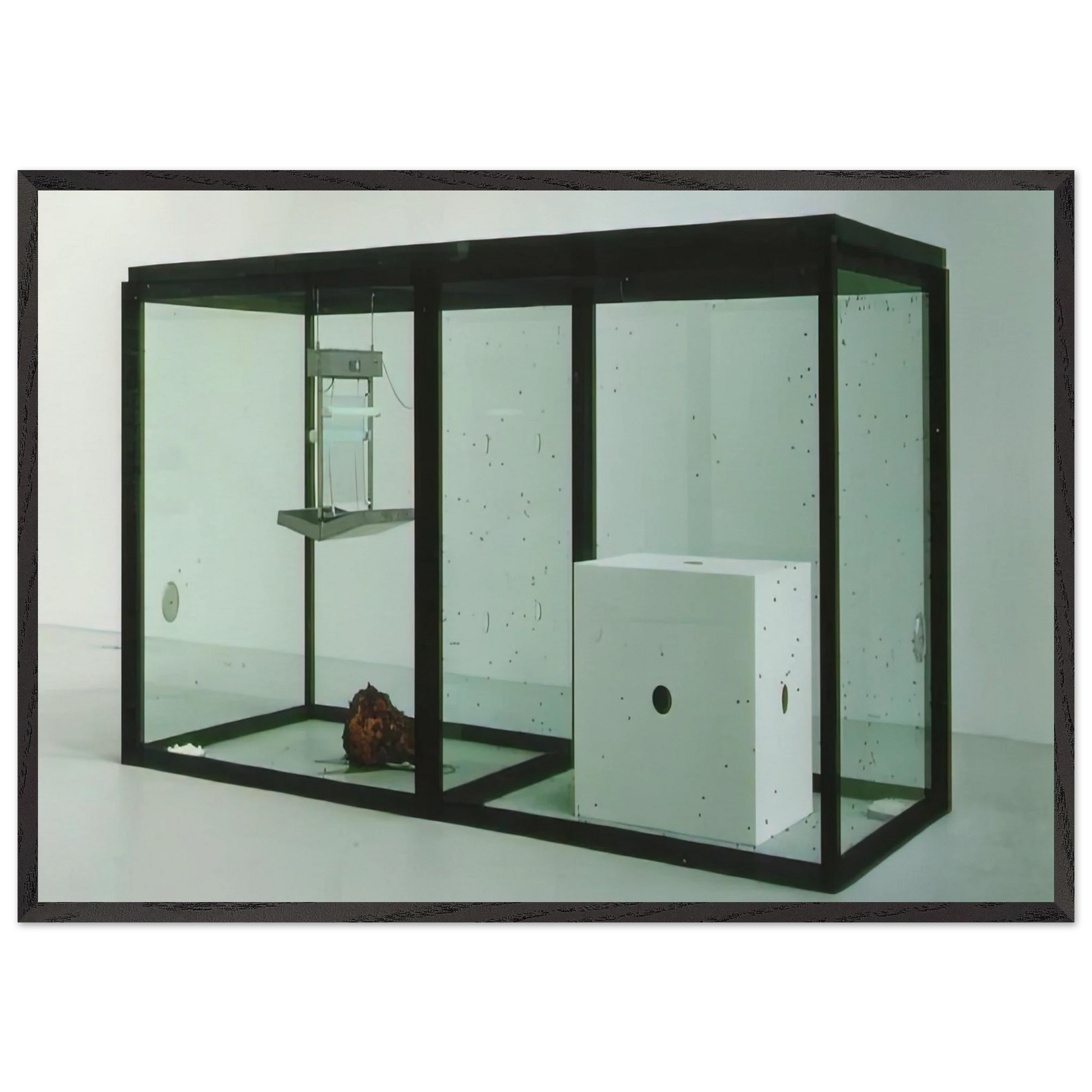 A THOUSAND YEARS - Damien Hirst Framed Art Print – Black Wooden Frame - Default Title - -Framed Art Print