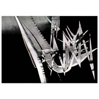 The Prickly Dark - James Rosenquist Brushed Aluminum Print - 70x100 cm / 28x40 inches | James Rosenquist Aluminum Print | James Rosenquist Prints