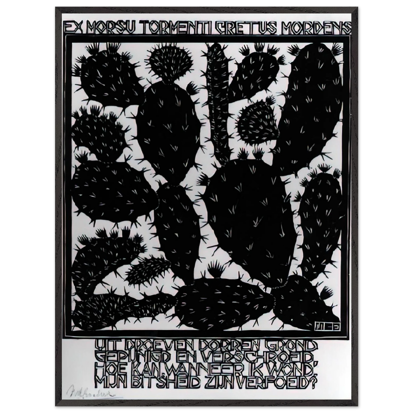 MC Escher - EMBLEMATA CACTUS Wall Art - 30x40 cm / 12x16 inches - Fine Art Poster - -
