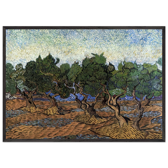 Olive Grove N2 - Vincent van Gogh 70x100 cm / 28x40 inches Framed Art Print – Black Wooden Frame