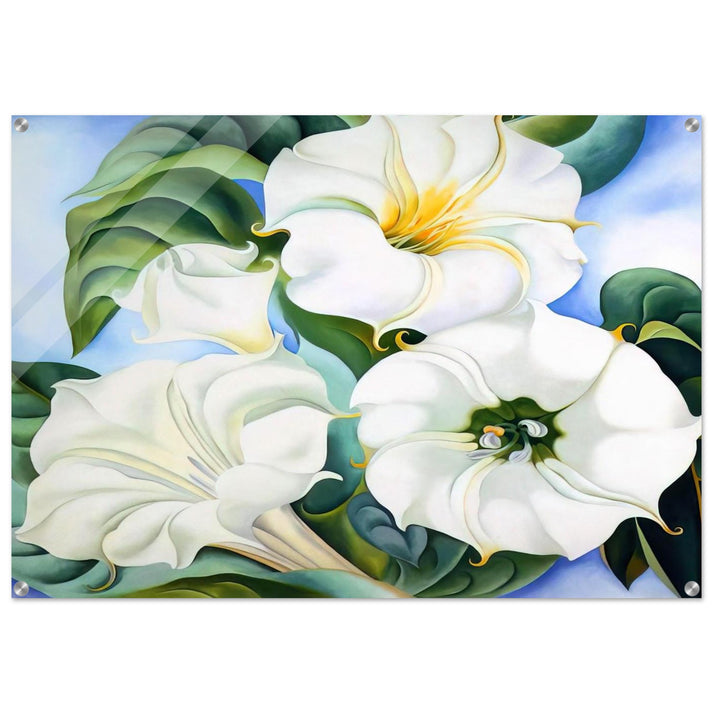 Jimson Weed 3 - Georgia O'Keeffe Acrylic Print - 70x100 cm / 28x40″ inches