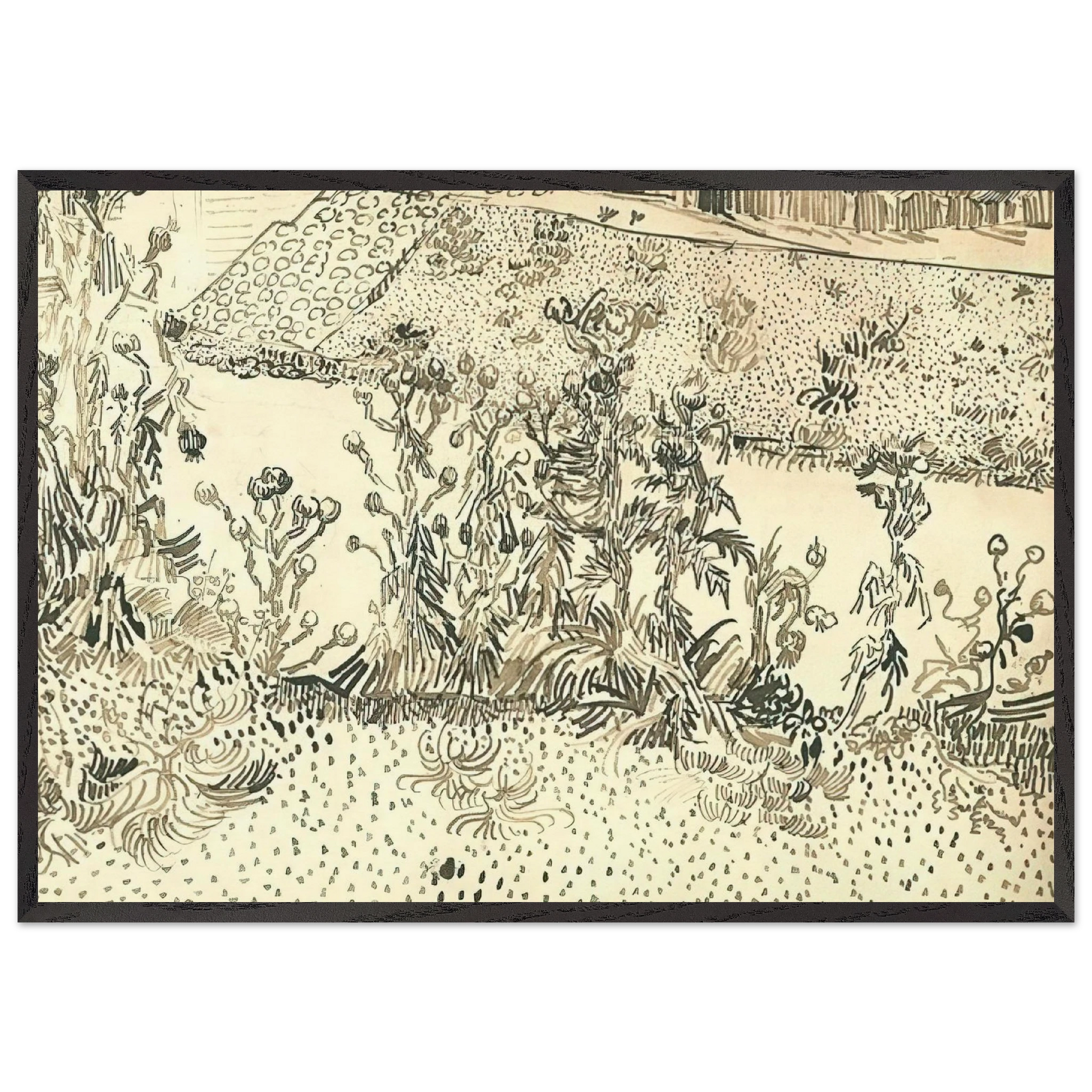Thistles Along the Roadside - Vincent van Gogh Framed Art Print – Black Wooden Frame - Default Title - -Framed Art Print