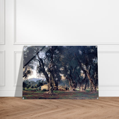 Olive Trees at Corfu - John Singer Sargent Acrylic Print - 70x100 cm / 28x40″ inches