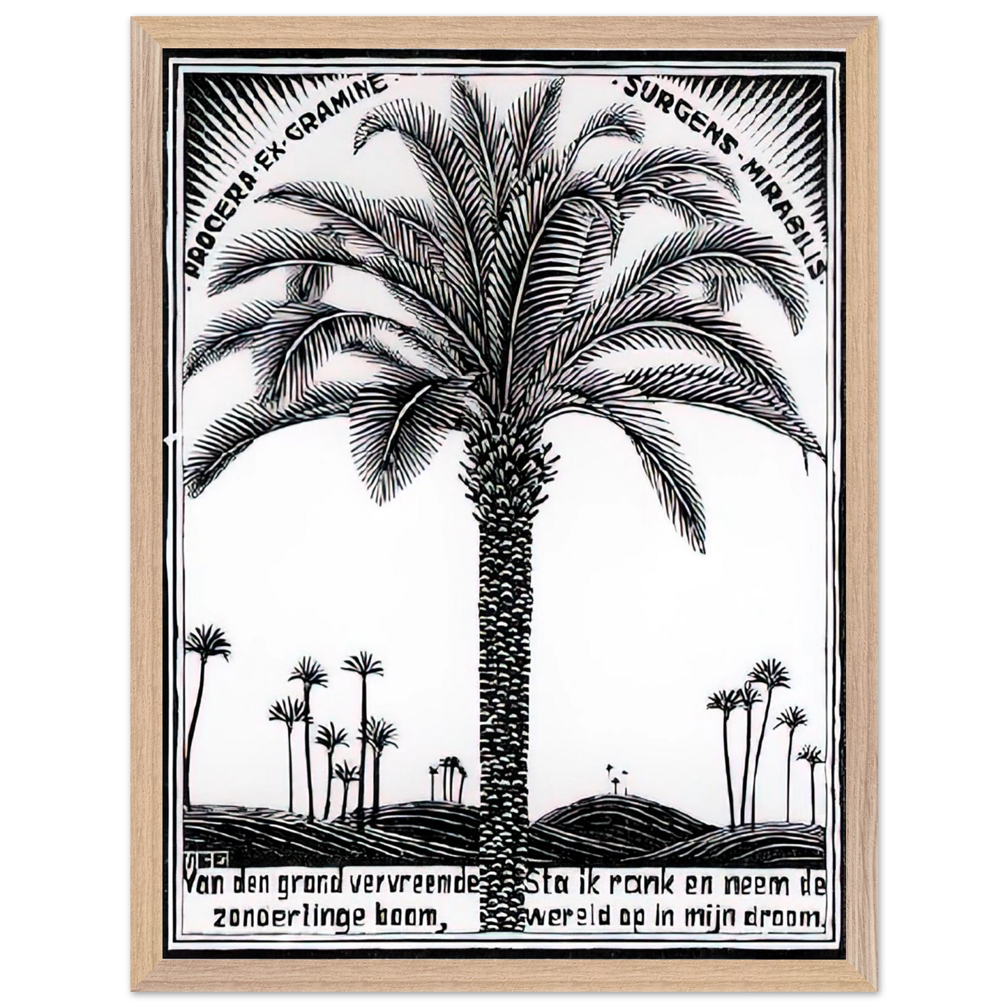 MC Escher - PALM TREE 1 Wall Art - 21x29.7 cm / 8x12" - Premium Wooden Framed Poster With Fine Art Paper - Wood frame