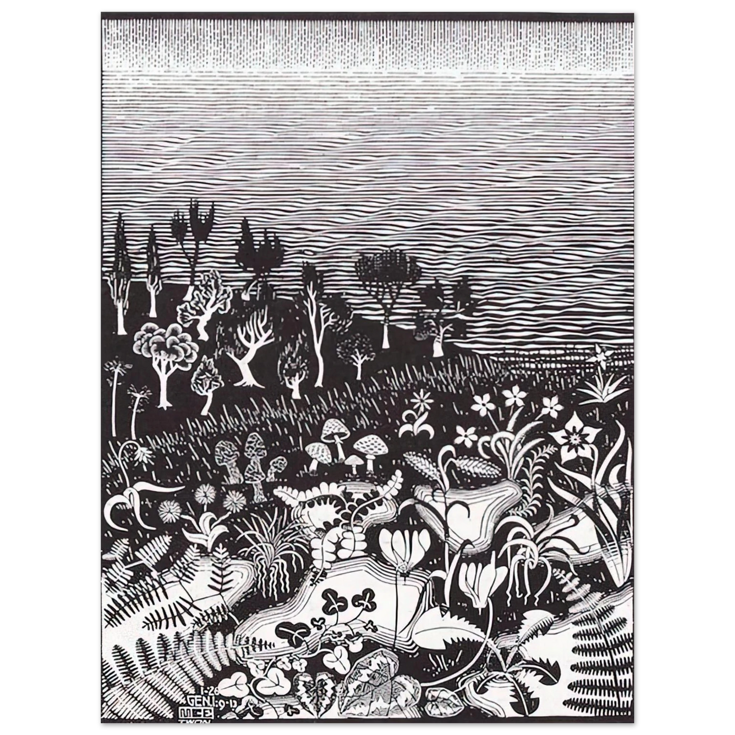 MC Escher - THE 3RD DAY OF THE CREATION Wall Art - 21x29.7 cm / 8x12" - Premium Wooden Framed Poster With Fine Art Paper - White frame