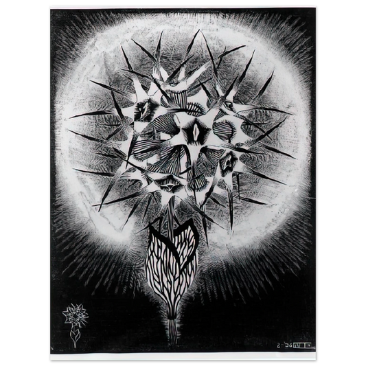 MC Escher - PRICKLY FLOWER Wall Art - 21x29.7 cm / 8x12" - Fine Art Poster - -
