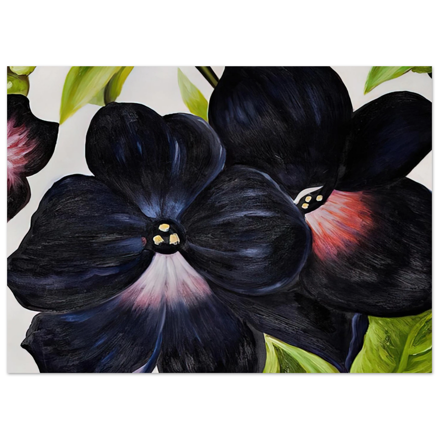 Georgia O'Keeffe - Black and Purple Petunias Fine Art Poster - 40x60 cm / 16x24 inches
