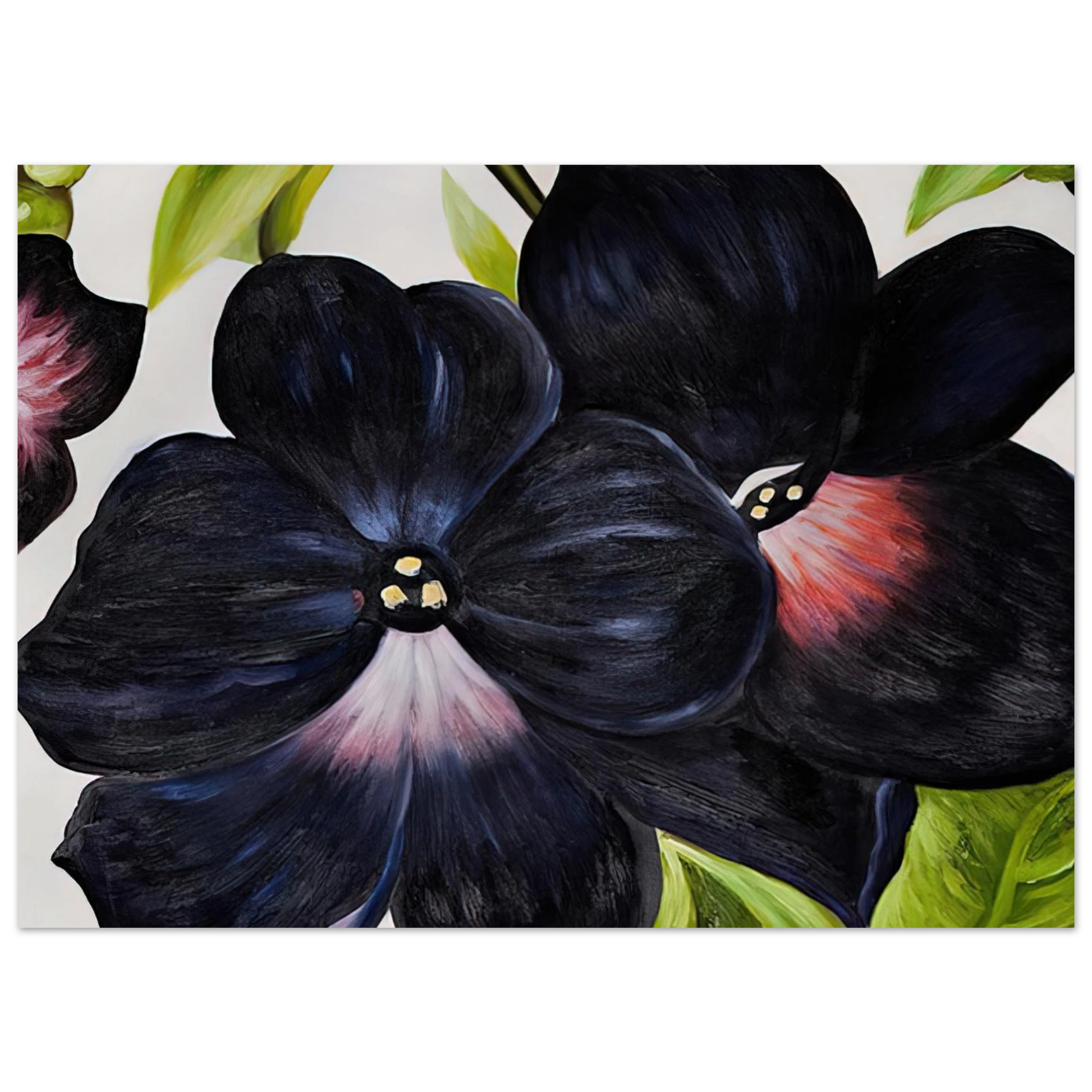 Georgia O'Keeffe - Black and Purple Petunias Fine Art Poster - 40x60 cm / 16x24 inches
