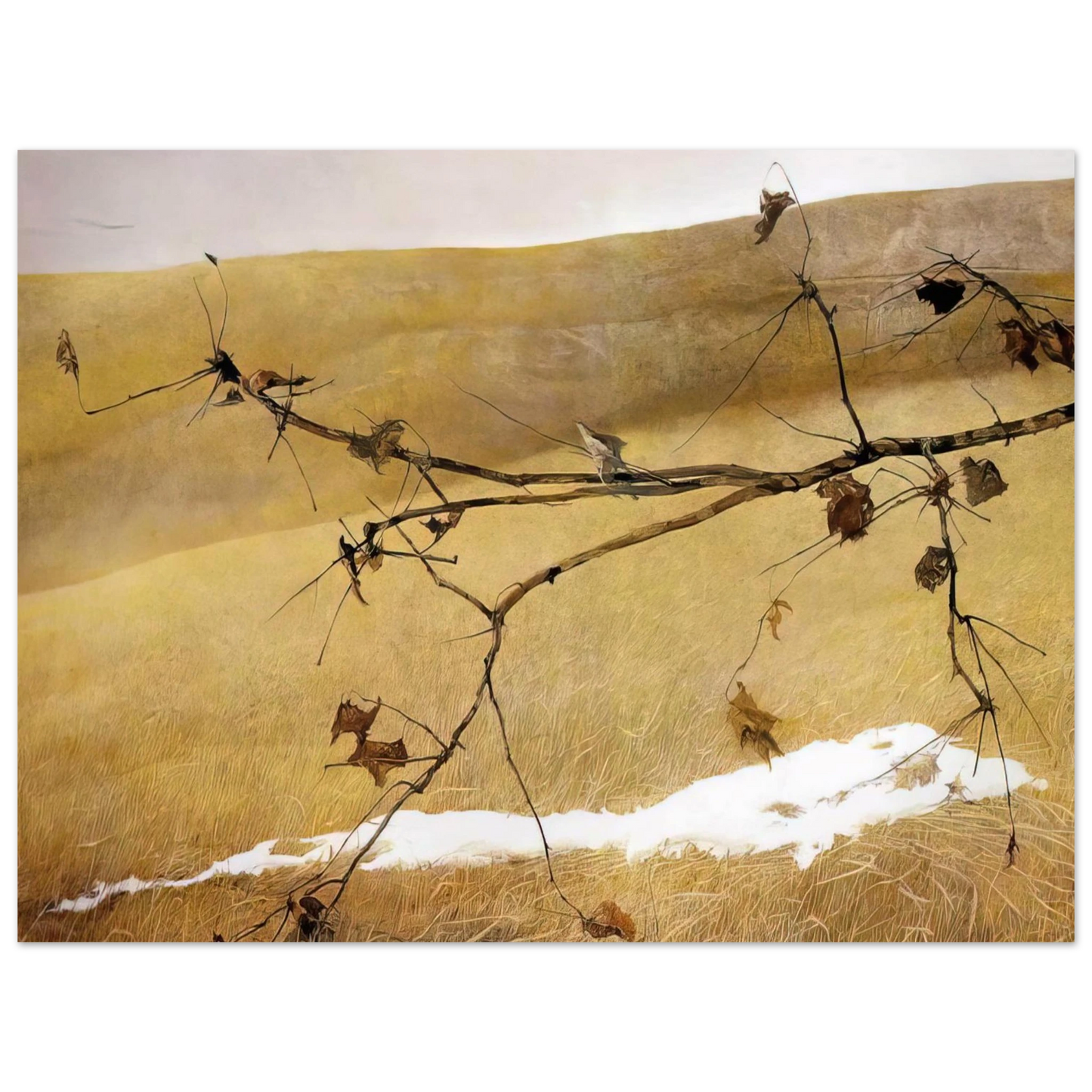 Andrew Wyeth - LONG LIMB Wall Art - 30x40 cm / 12x16 inches - Premium Wooden Framed Poster With Fine Art Paper - Wood frame