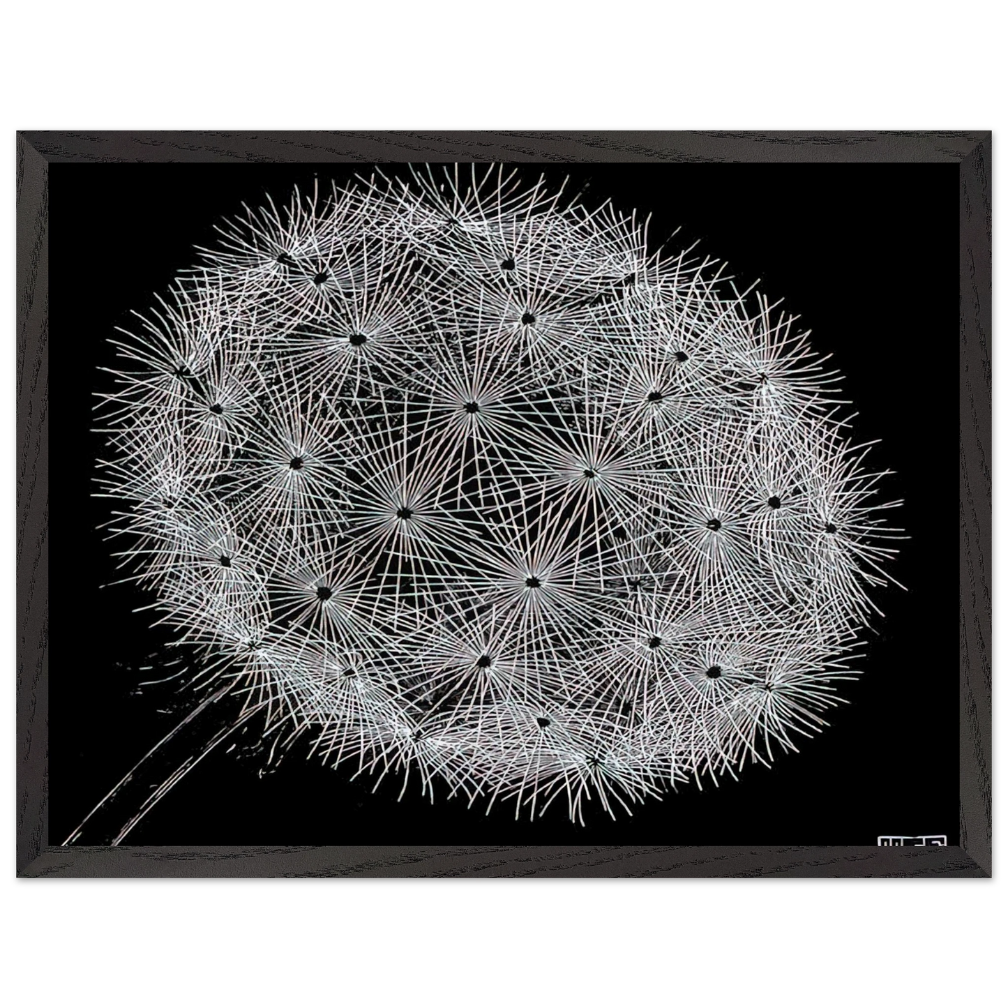 MC Escher - BLOWBALL II Wall Art - 21x29.7 cm / 8x12" - Premium Wooden Framed Poster With Fine Art Paper - Black frame
