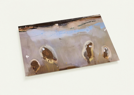 6e6ed24c-4d57-43b9-a242-c51da3e69574