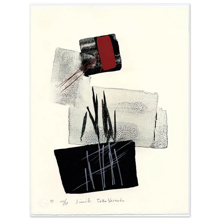 Toko Shinoda - Simile - 1997  75x100 cm / 30x40inches Fine Art Poster