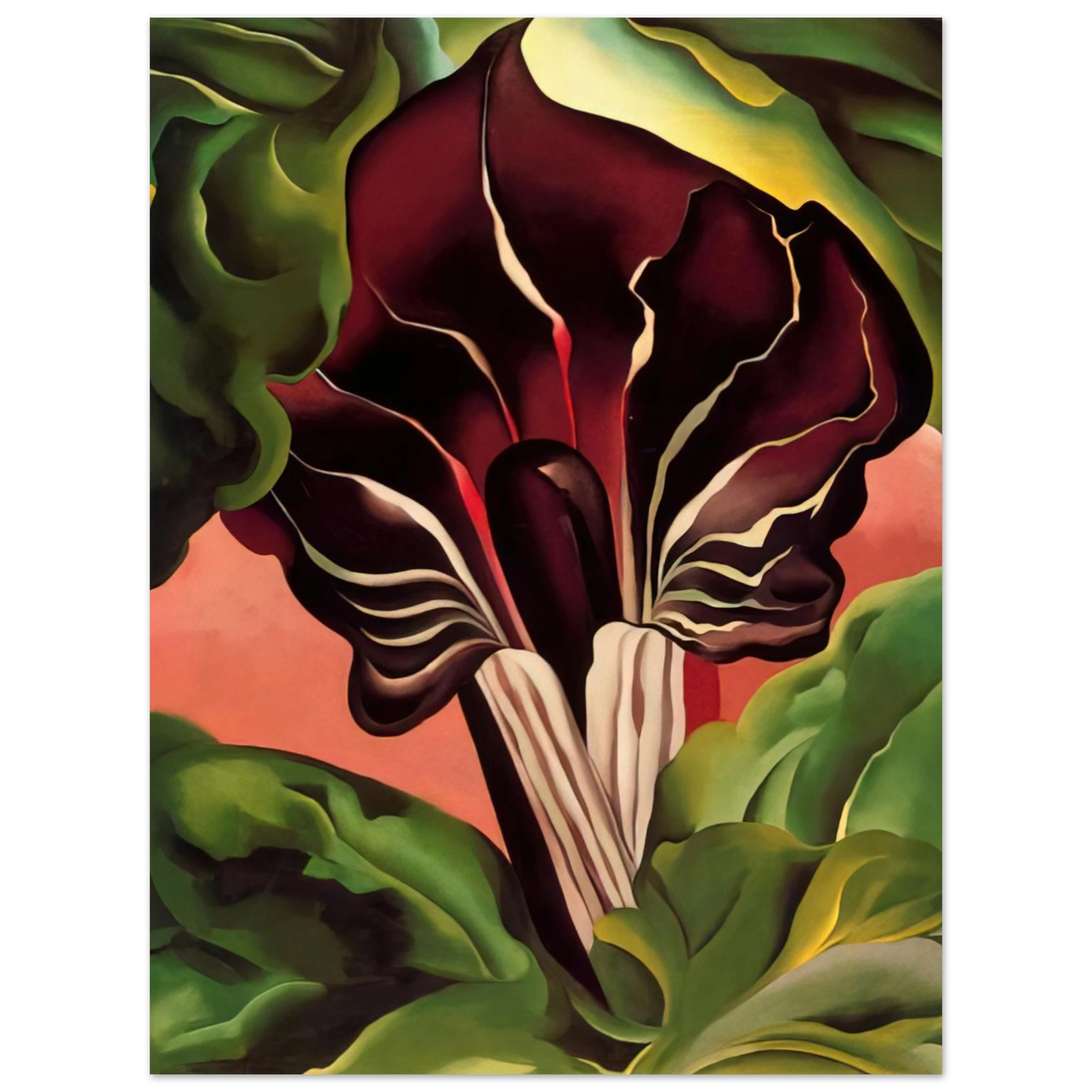Georgia O'Keeffe - Jack-in-the-Pulpit II Fine Art Poster - 13x18 cm / 5x7 inches